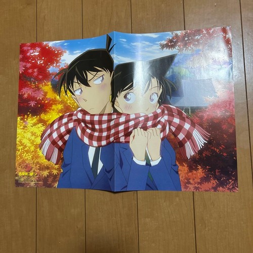 Poster double face detective - double,